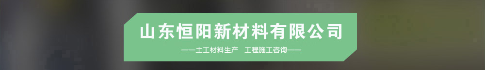 山東91免费播放视频新材料有限公司介紹